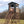 Load image into Gallery viewer, 6X6 Wooden Hunting Blind